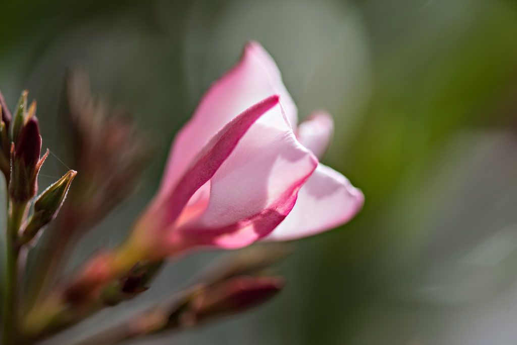 Restaurant Wirtschaft zum Strick