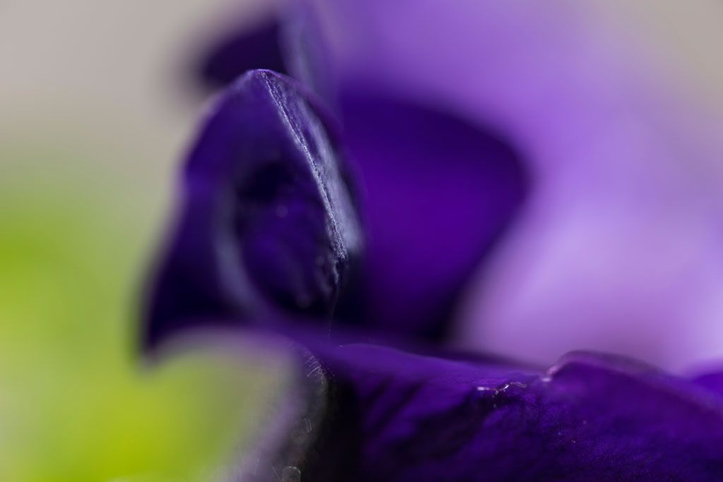 Restaurant Wirtschaft zum Strick