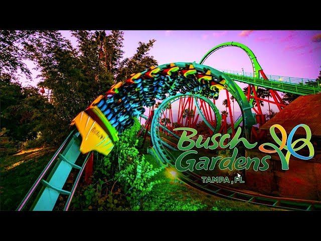 Rollercoaster on track at Busch Gardens Tampa with the logo in view.