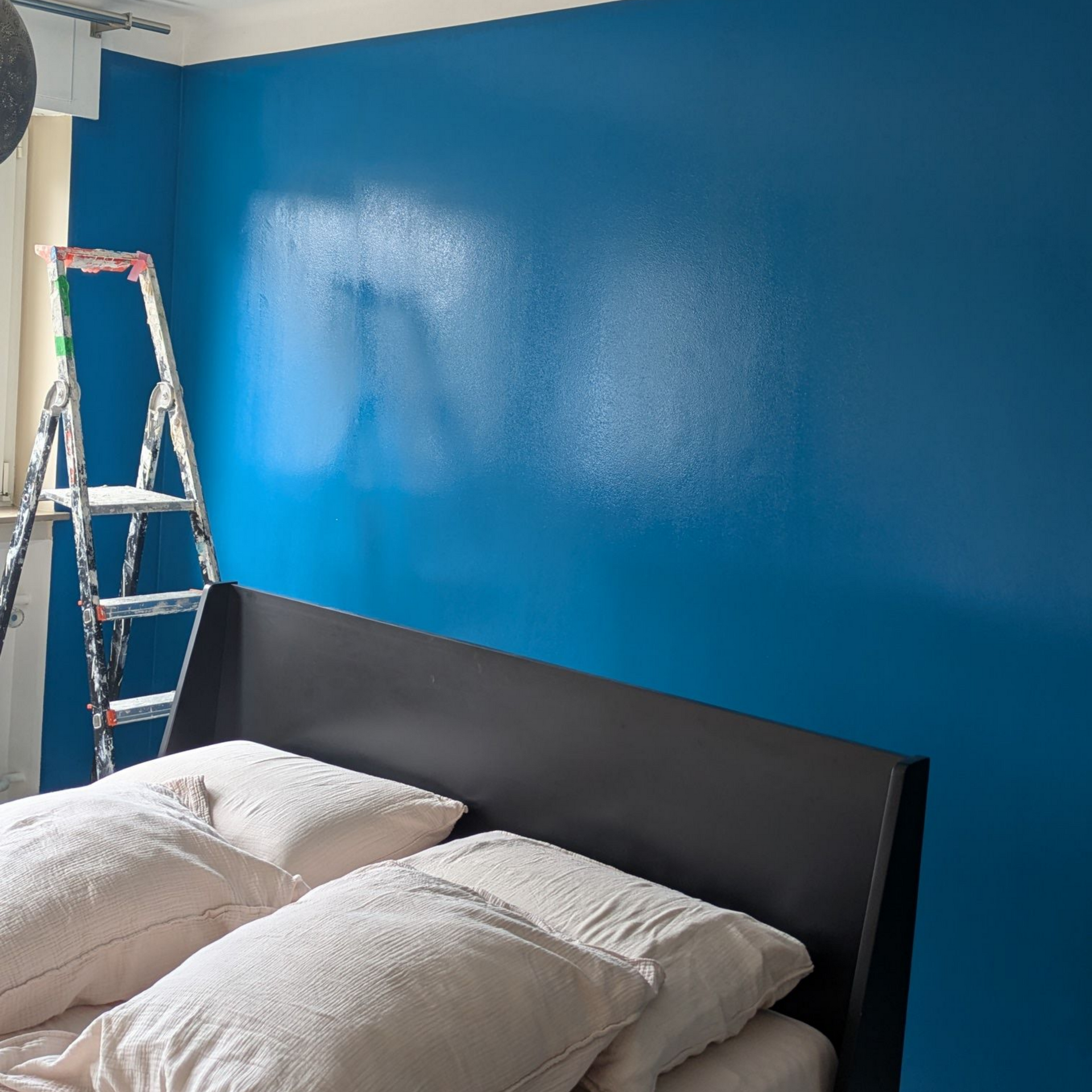Chambre avec un mur d’accent bleu vif, un lit, des oreillers et une échelle près de la fenêtre.