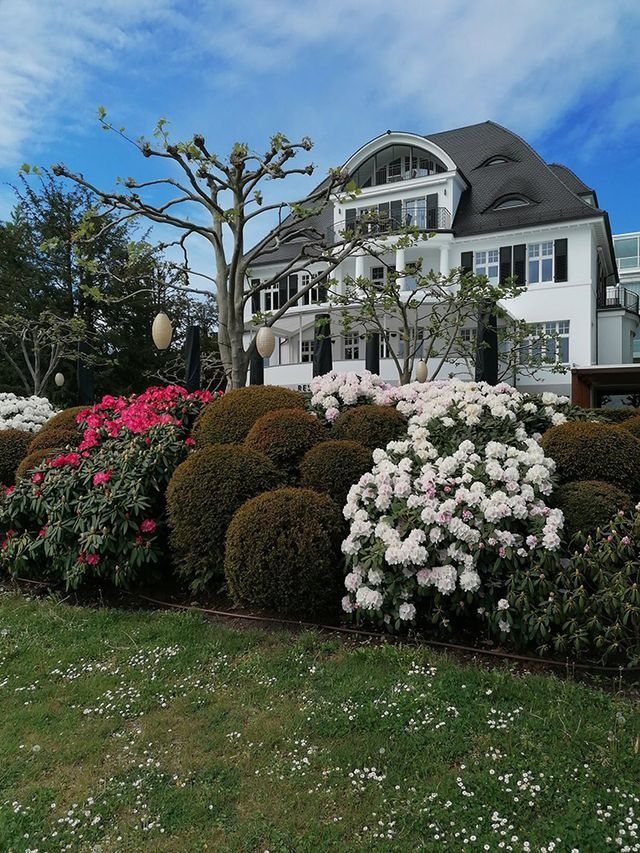 Weißes Haus mit Strohdach, umgeben von farbenprächtigen blühenden Sträuchern, an einem sonnigen Tag.