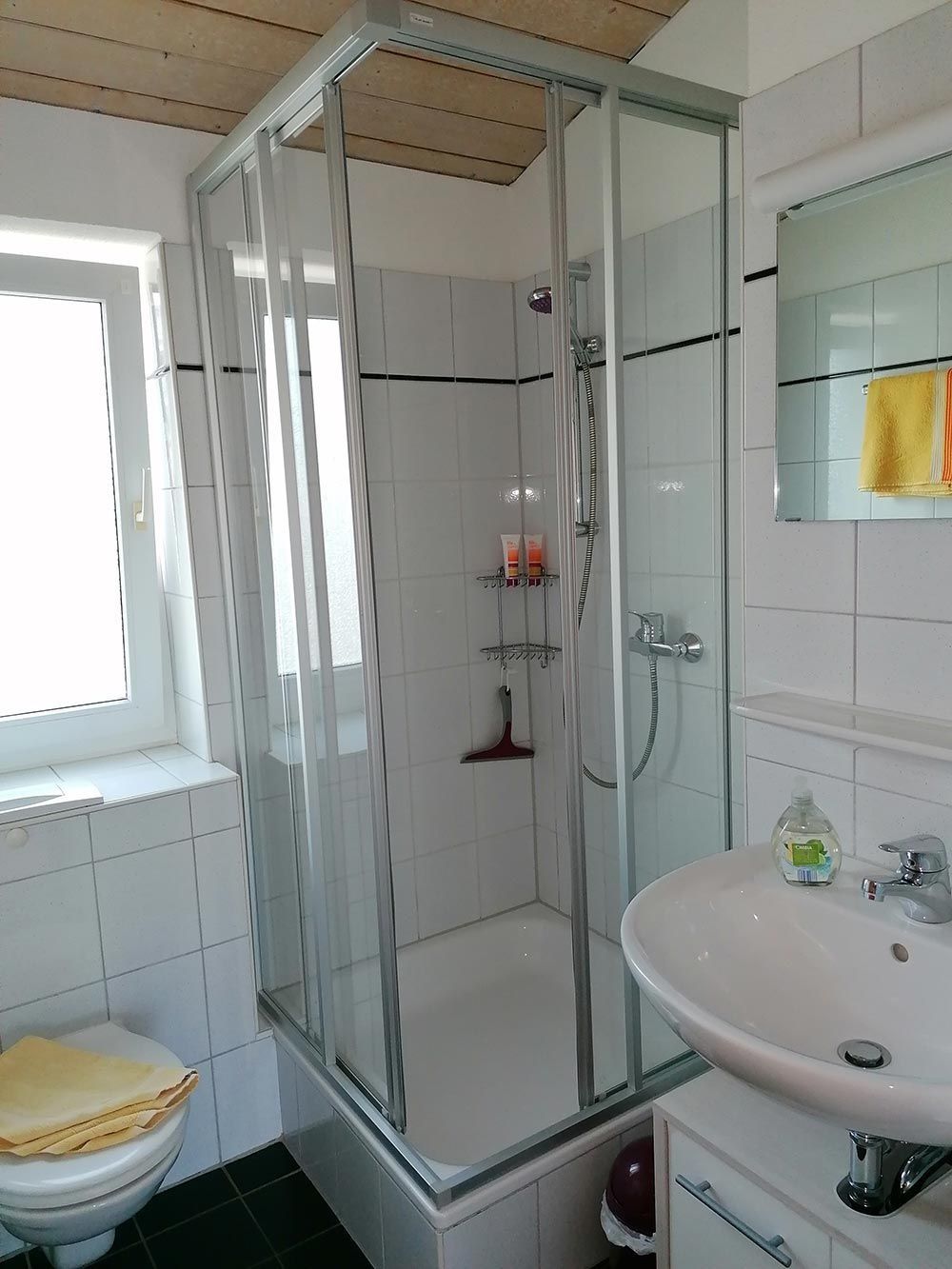 Badezimmer mit weißen Wänden, Dusche, Toilette, Waschbecken und Fenster.