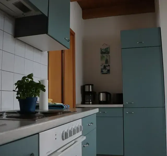 Blaue Küche mit weißen Geräten, Topfpflanze und Kaffeemaschine.