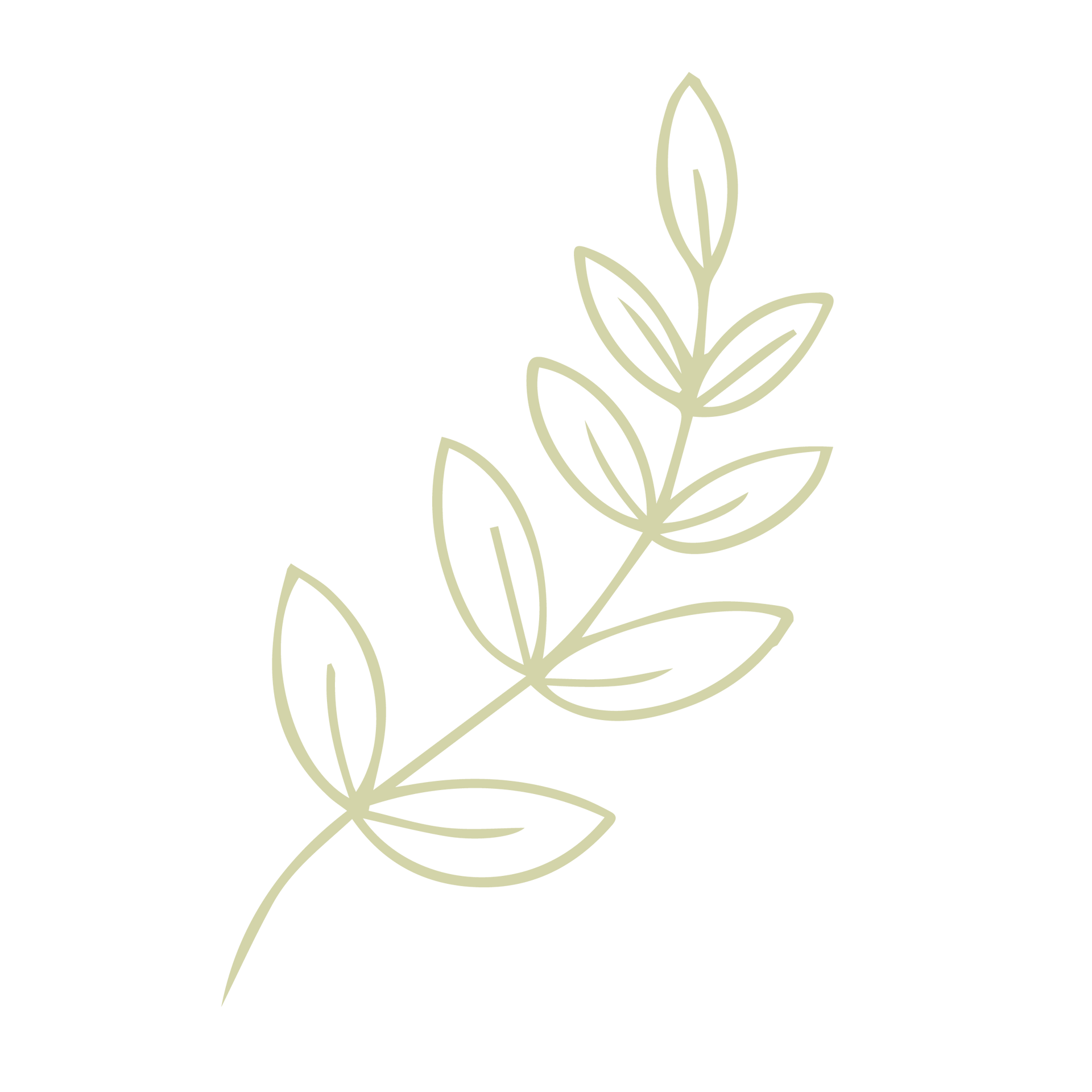 Hellgrüne, stilisierte Illustration eines Zweiges mit mehreren Blättern.