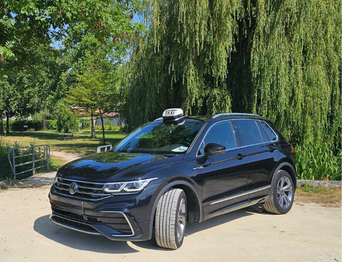 Un taxi SUV Volkswagen noir garé sous un saule pleureur par une journée ensoleillée.