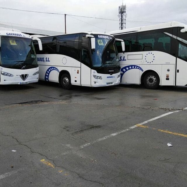 Hay tres autobuses estacionados en un estacionamiento y uno de ellos dice sl