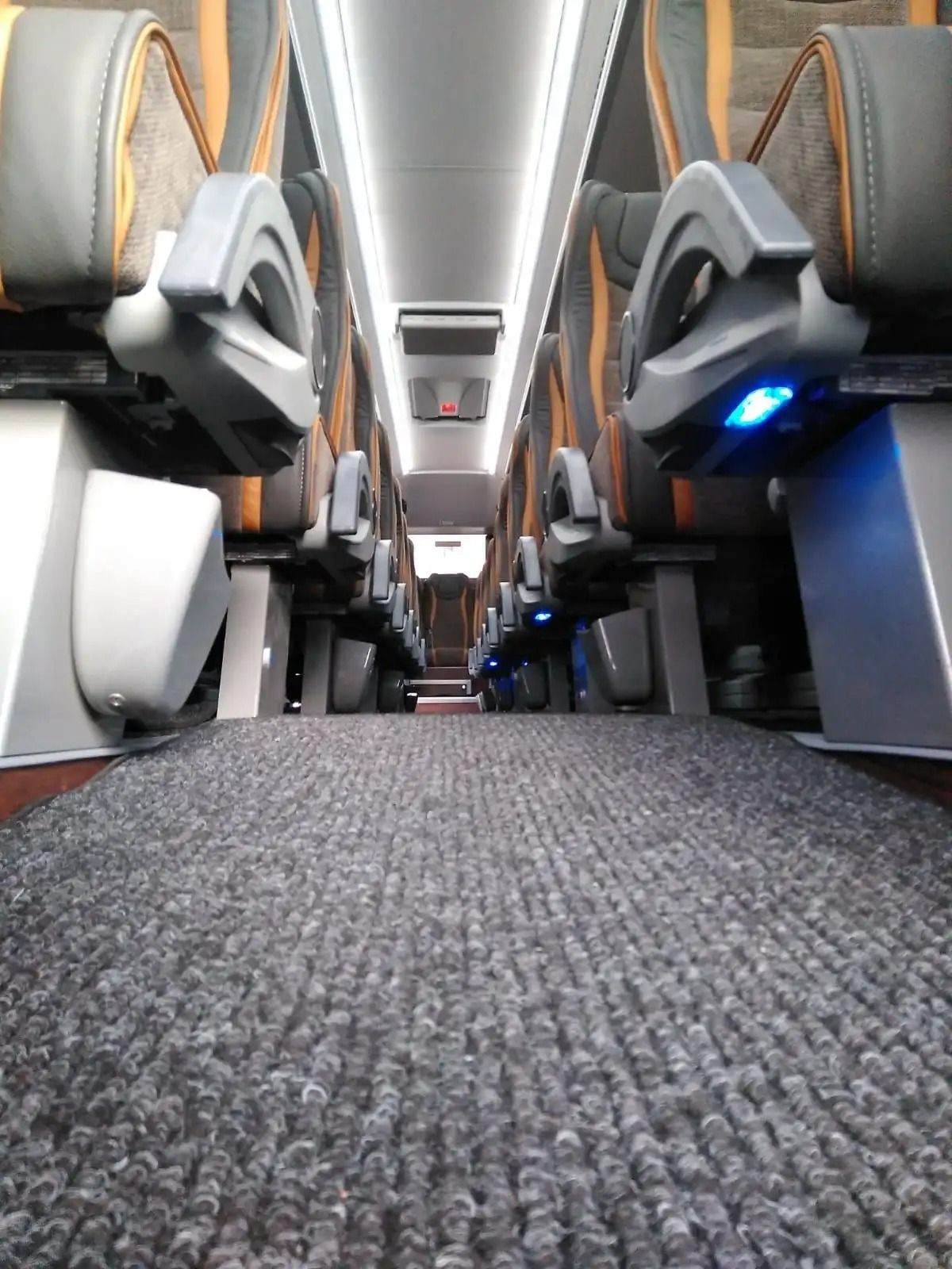 Una fila de asientos en un autobús con piso alfombrado