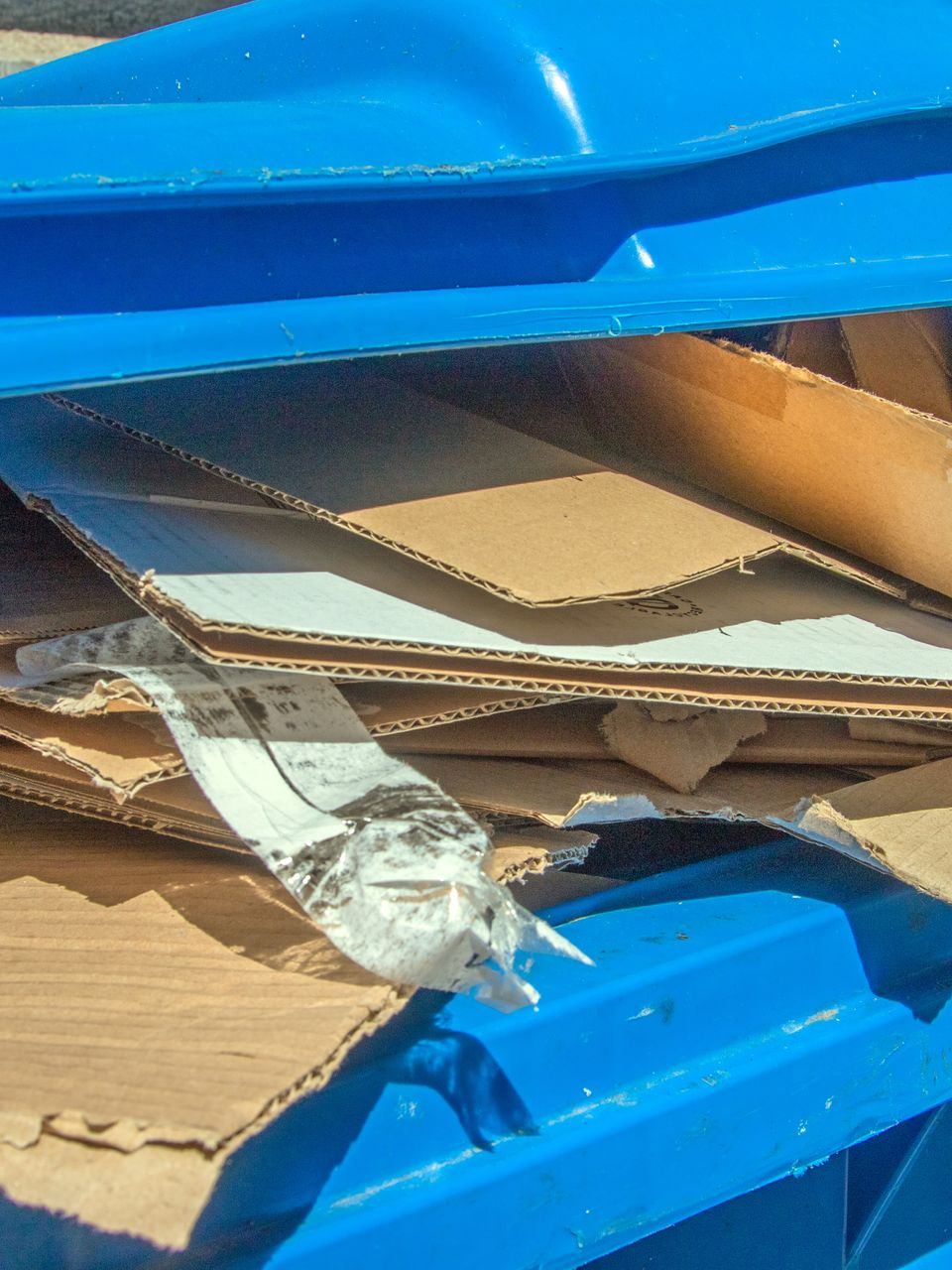 Bac bleu rempli de carton aplati.