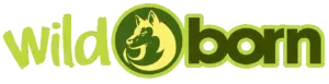 Ein Logo für Wild Barn mit einem Pferd darauf
