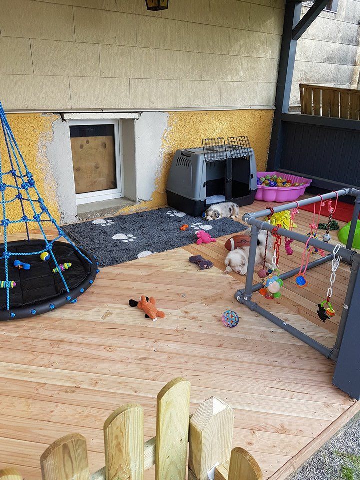 Ein Holzdeck mit einer Schaukel und Spielzeug darauf.