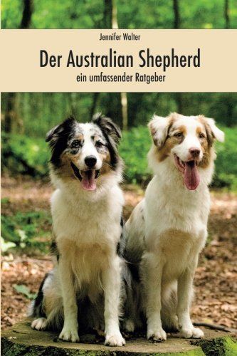 Zwei Hunde sitzen nebeneinander auf einem Felsen im Wald.