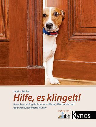 Ein Hund schaut aus einer Holztür.