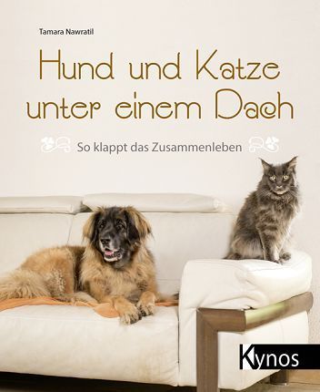 Ein Hund und eine Katze sitzen auf einem Sofa.