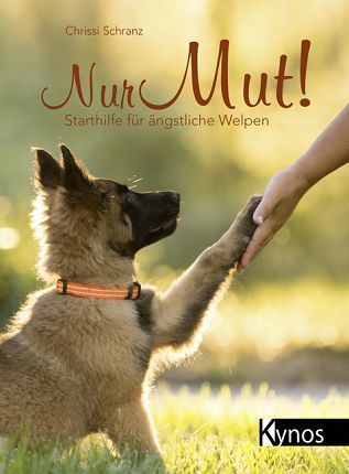 Eine Person gibt einem Welpen im Gras ein High Five.