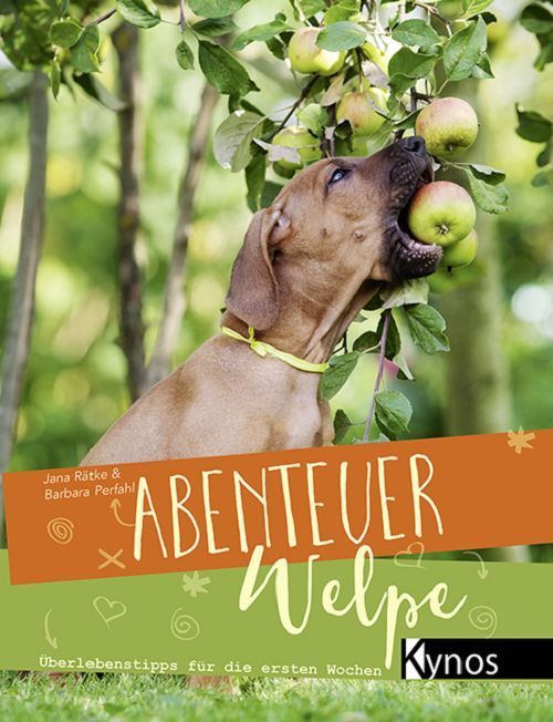 Ein Buch mit dem Titel Abenteuer Welpe zeigt einen Hund, der einen Apfel von einem Baum isst