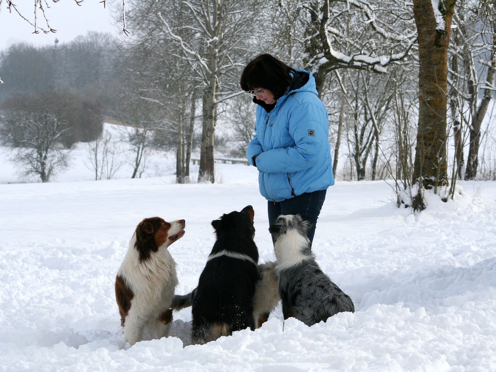 Eine Frau in einer blauen Jacke steht mit drei Hunden im Schnee