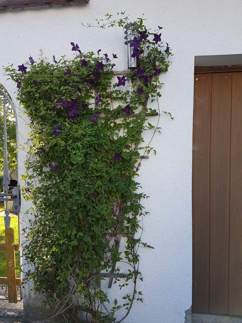 Eine weiße Wand mit lila Blumen darauf