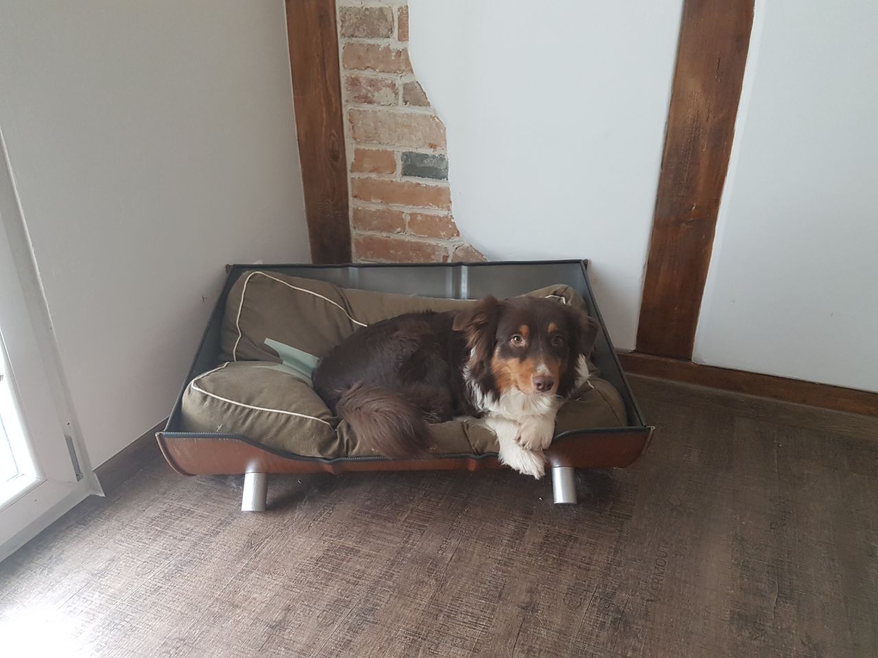 Ein Hund liegt in einem Zimmer auf einem Hundebett.