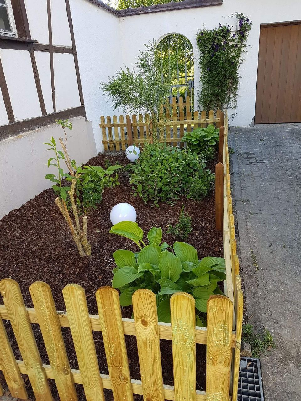Ein Holzzaun umgibt einen Garten mit Pflanzen und einem weißen Ball.