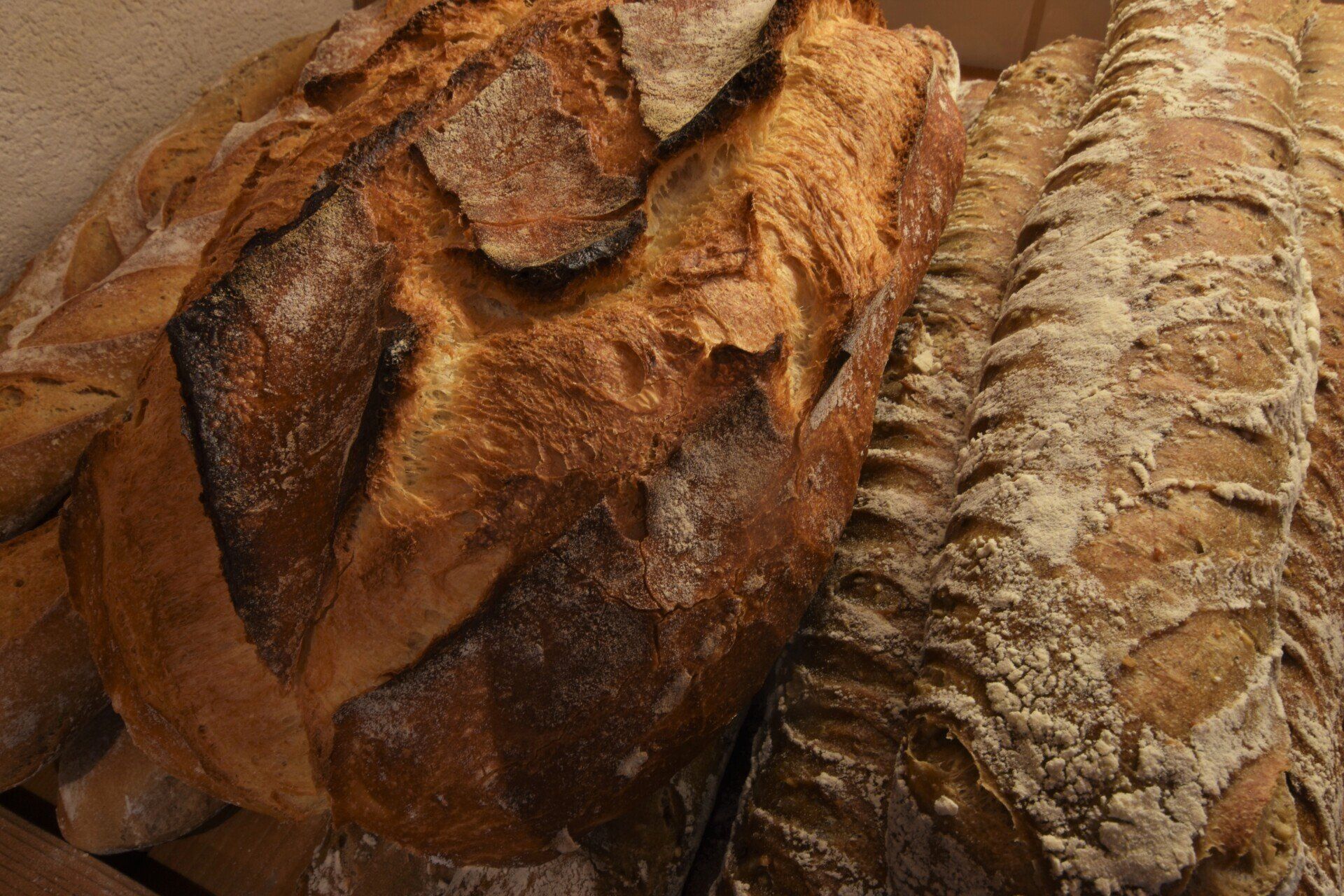 Des gros pains de campagne