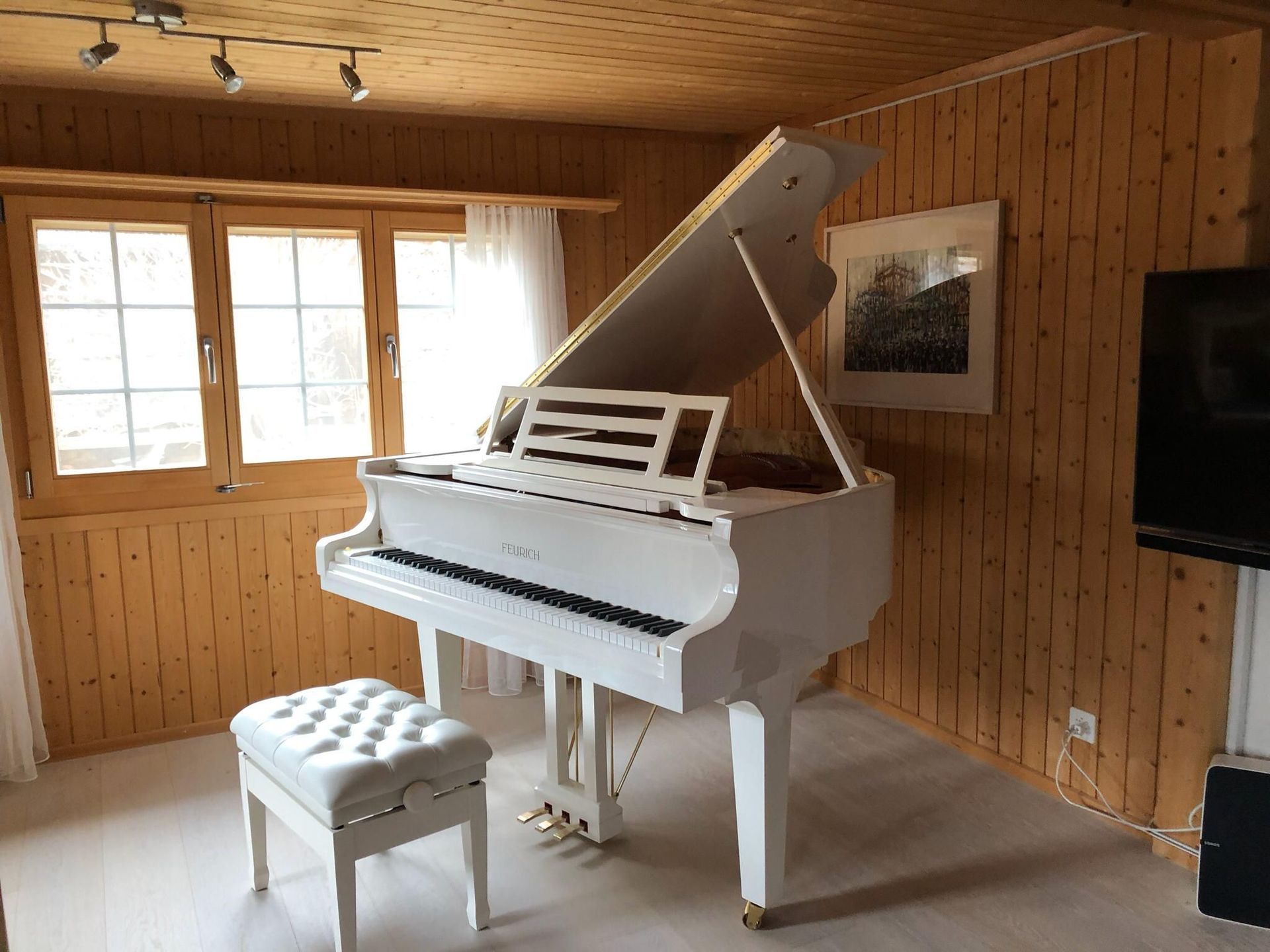 Dani's Umzüge Sargans - Klavier