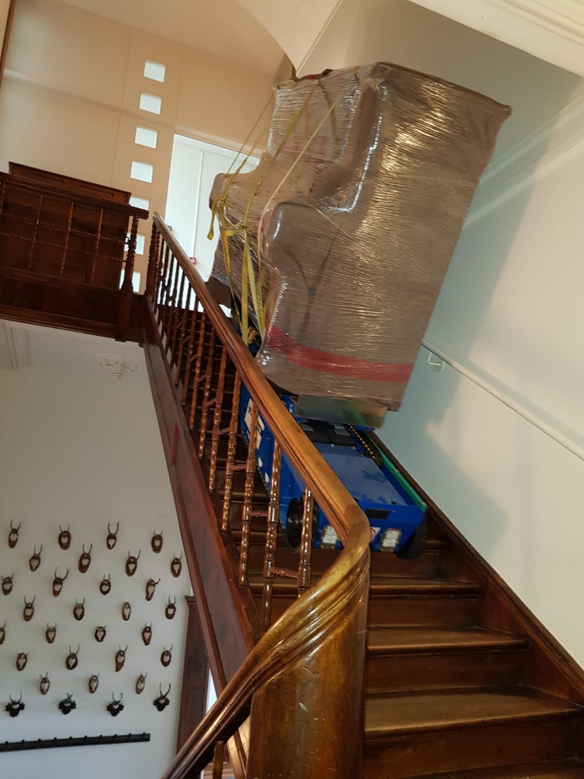 Dani's Umzüge Sargans - Klavier