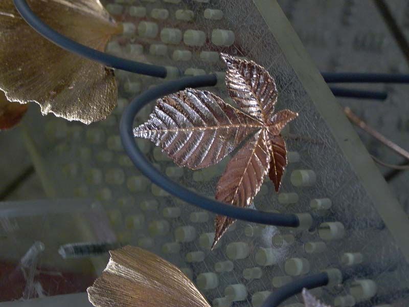 Blätter als Schmuck