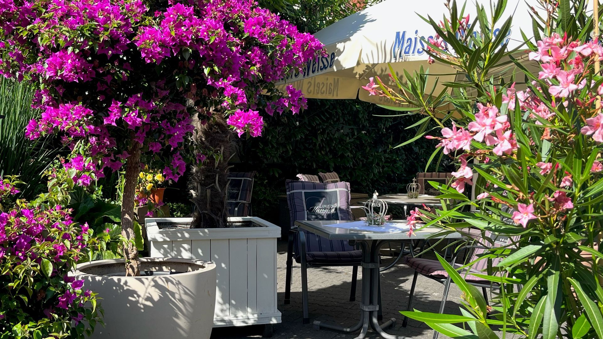 Ein Restaurant mit Sonnenschirmen und Topfpflanzen davor.