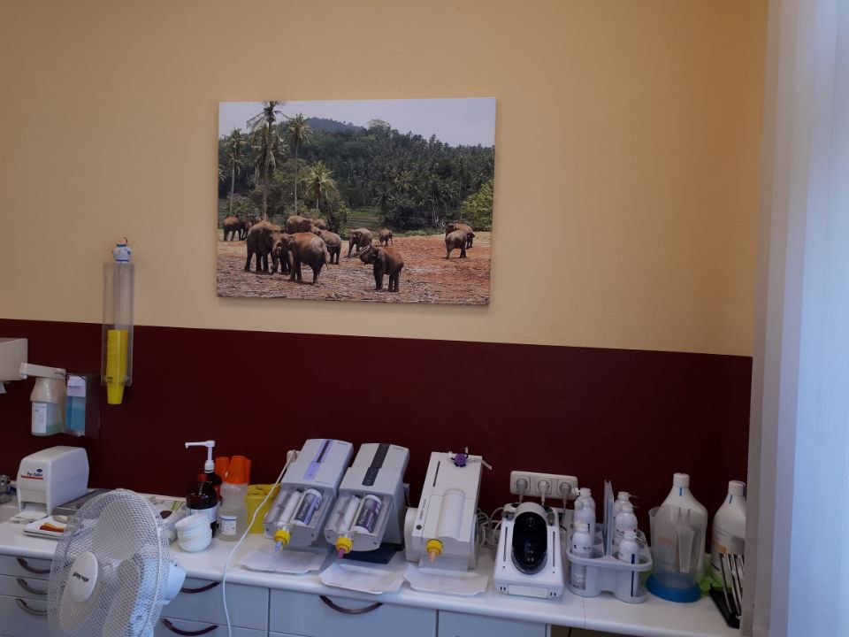 Behandlungsraum in der Zahnarztpraxis Helaß in Arnsdorf