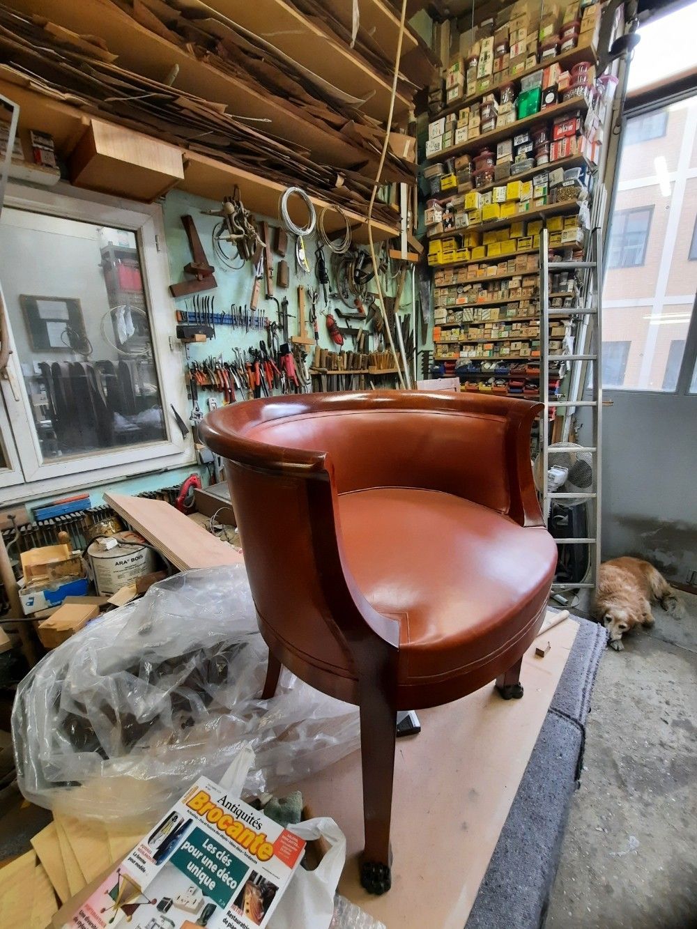 Un fauteuil en cuir marron poli trône dans un atelier rempli d'outils, de fournitures et d'un chien qui se repose sur le sol.