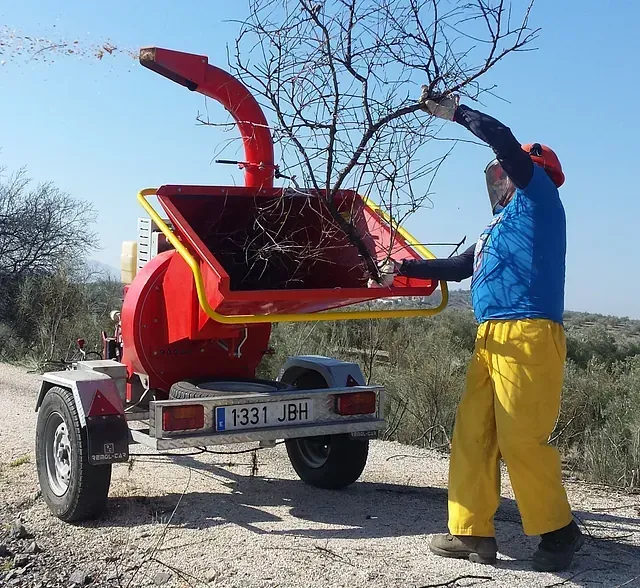 Una persona introduce ramas de árbol en una trituradora de madera roja montada en un remolque. Lleva equipo de protección en un entorno soleado.