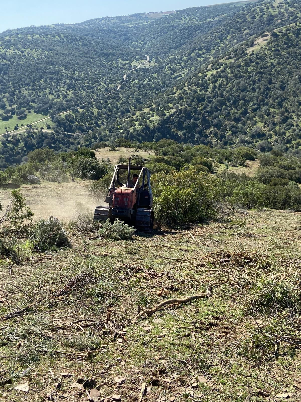 Un pequeño tractor limpia la maleza de una ladera, rodeado de árboles y una cadena montañosa lejana bajo un cielo azul.