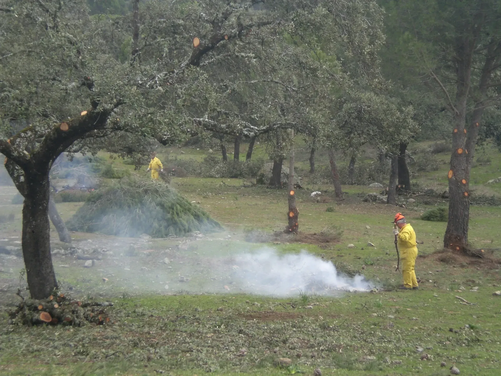 Dos personas con equipo de protección amarillo rocían agua sobre escombros humeantes en una zona boscosa. Sale humo cerca de un árbol.