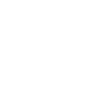 Schneeflocke Icon