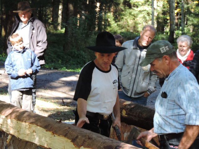 Holz - Widmer AG Holzbau