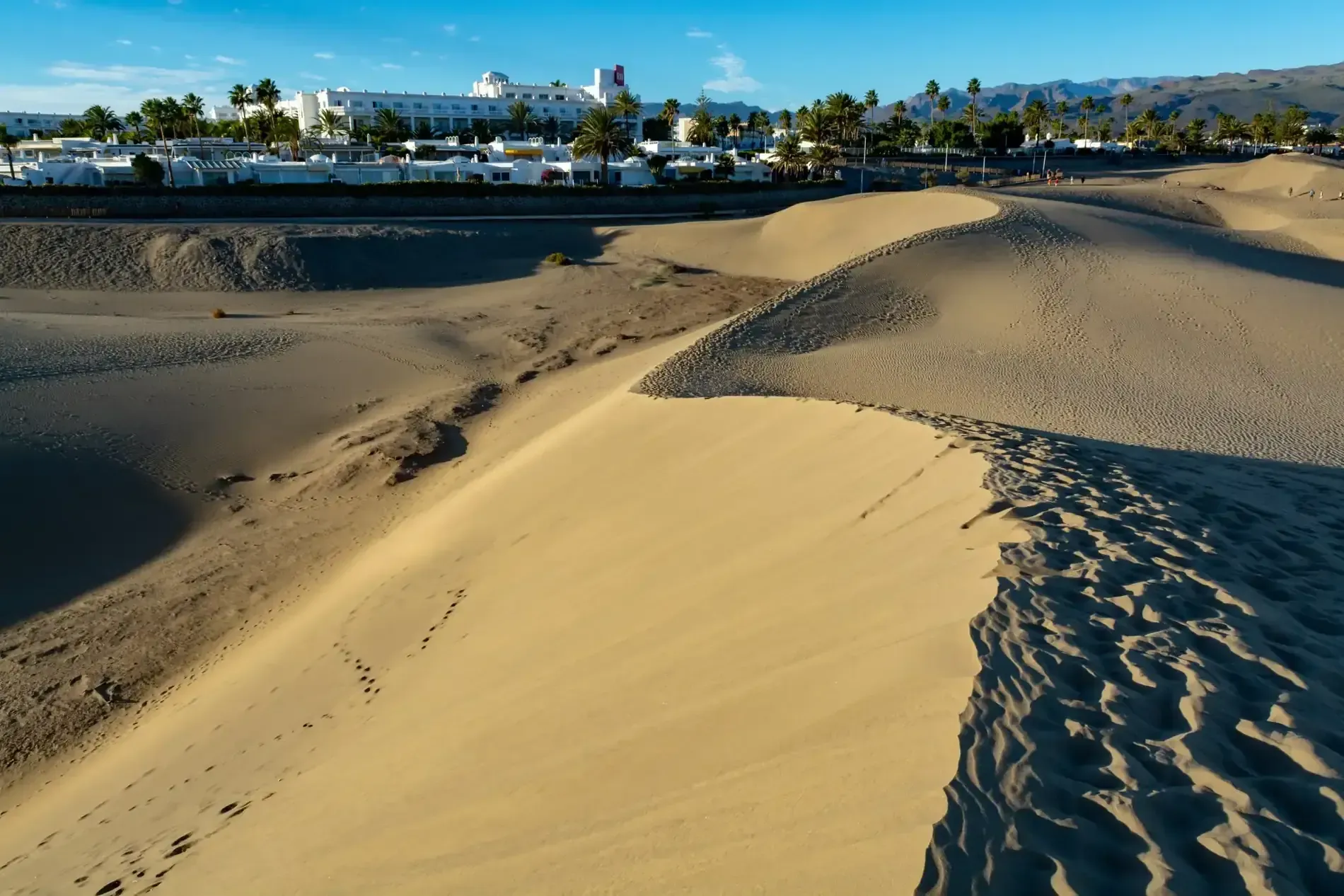 Dunas de arena que se encuentran con un camino de playa, con palmeras y edificios bajo un cielo azul claro.