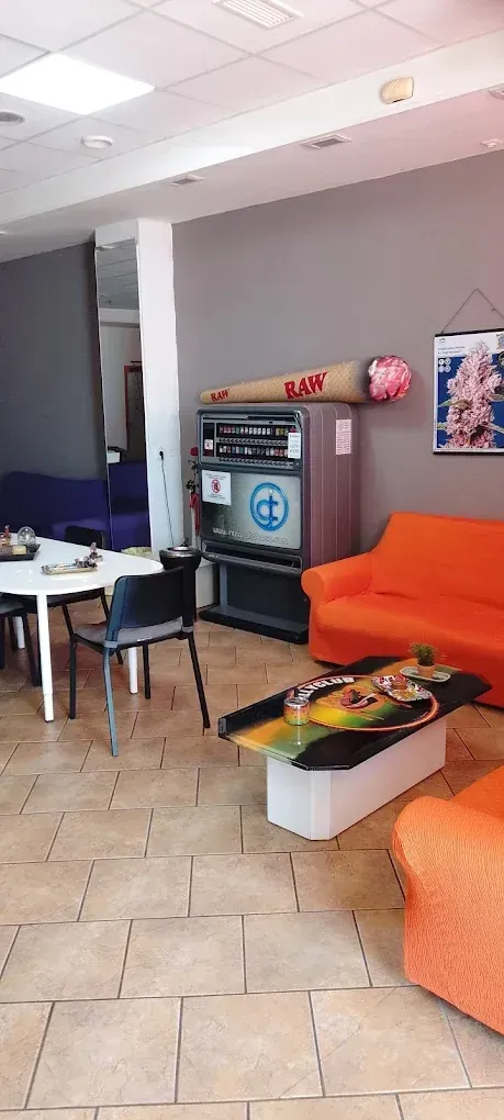 Una habitación con un sofá naranja, una mesa.