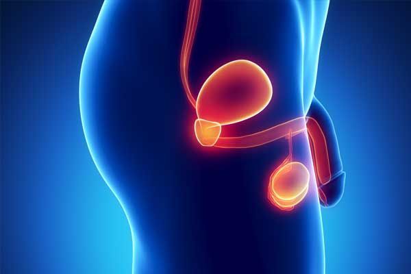 Centro Clínico de Urologia 