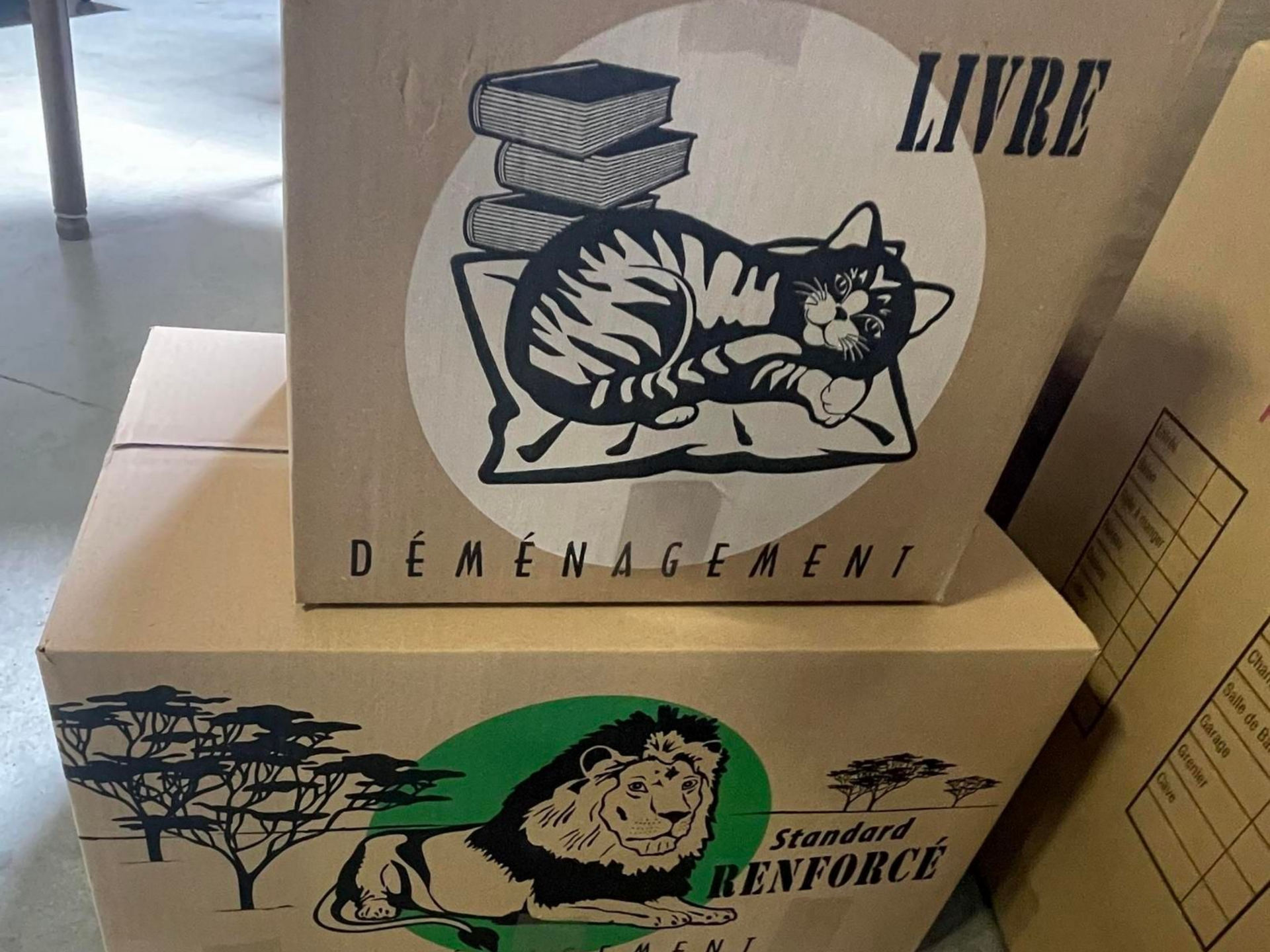 Deux cartons de déménagement. L'un est illustré d'un chat, l'autre d'un lion.
