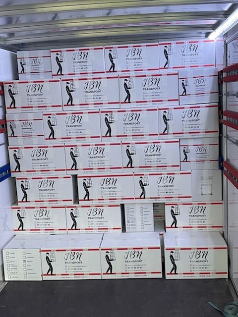 Deux cartons de déménagement. L'un est illustré d'un chat, l'autre d'un lion.