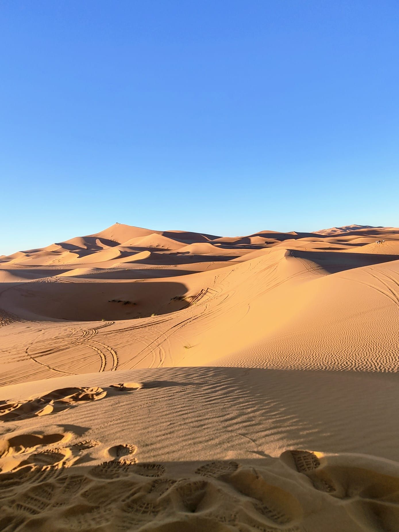 Sedie a sdraio sotto ombrelloni bianchi accanto a una piscina turchese con palme.