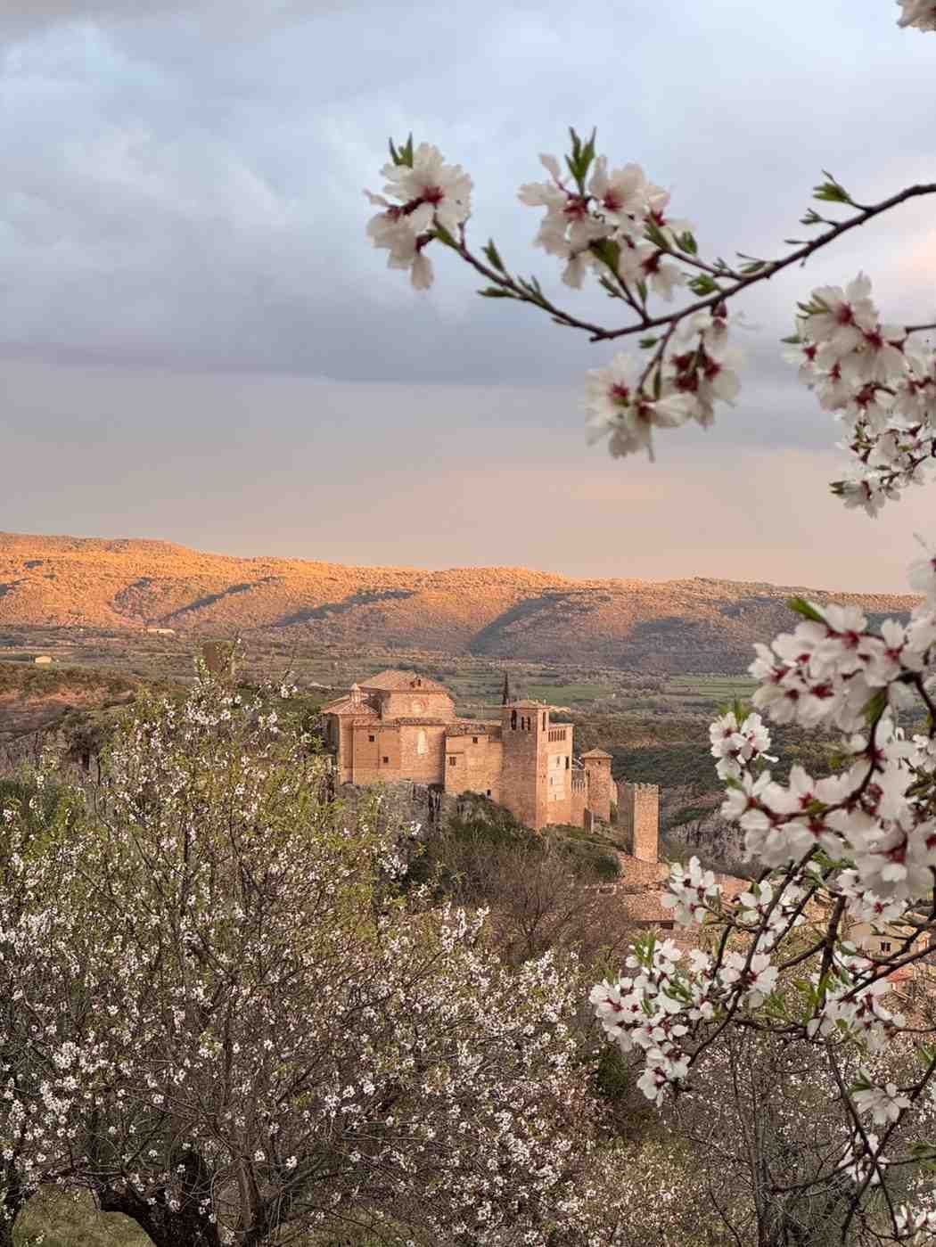 Un castillo de piedra bañado por el sol se alza en un valle, enmarcado en primer plano por las flores.