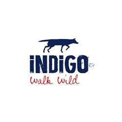 Indigo Walk Wild-Logo mit einem dunkelblauen, laufenden Hund über den Wörtern „INDIGO“ und „walk wild“