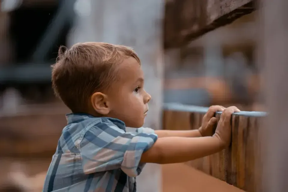 Jeune enfant en chemise à carreaux bleus regardant par-dessus une clôture en bois à l’extérieur