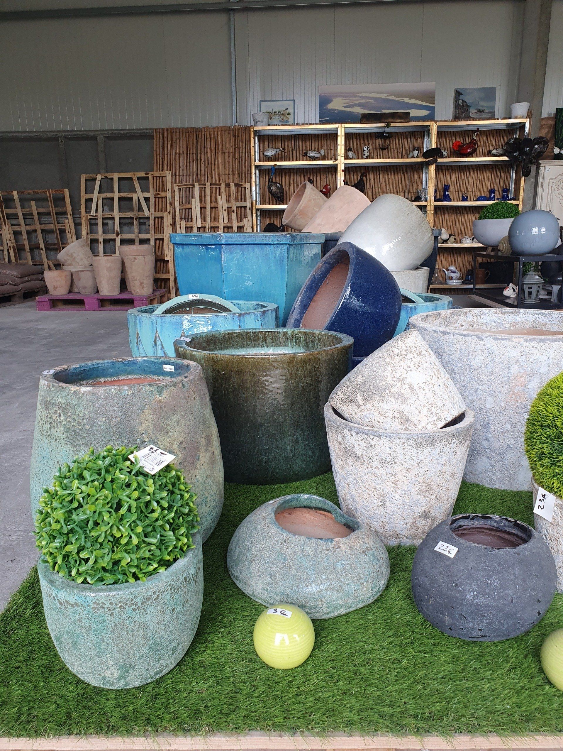 Ensemble de pots et végétation