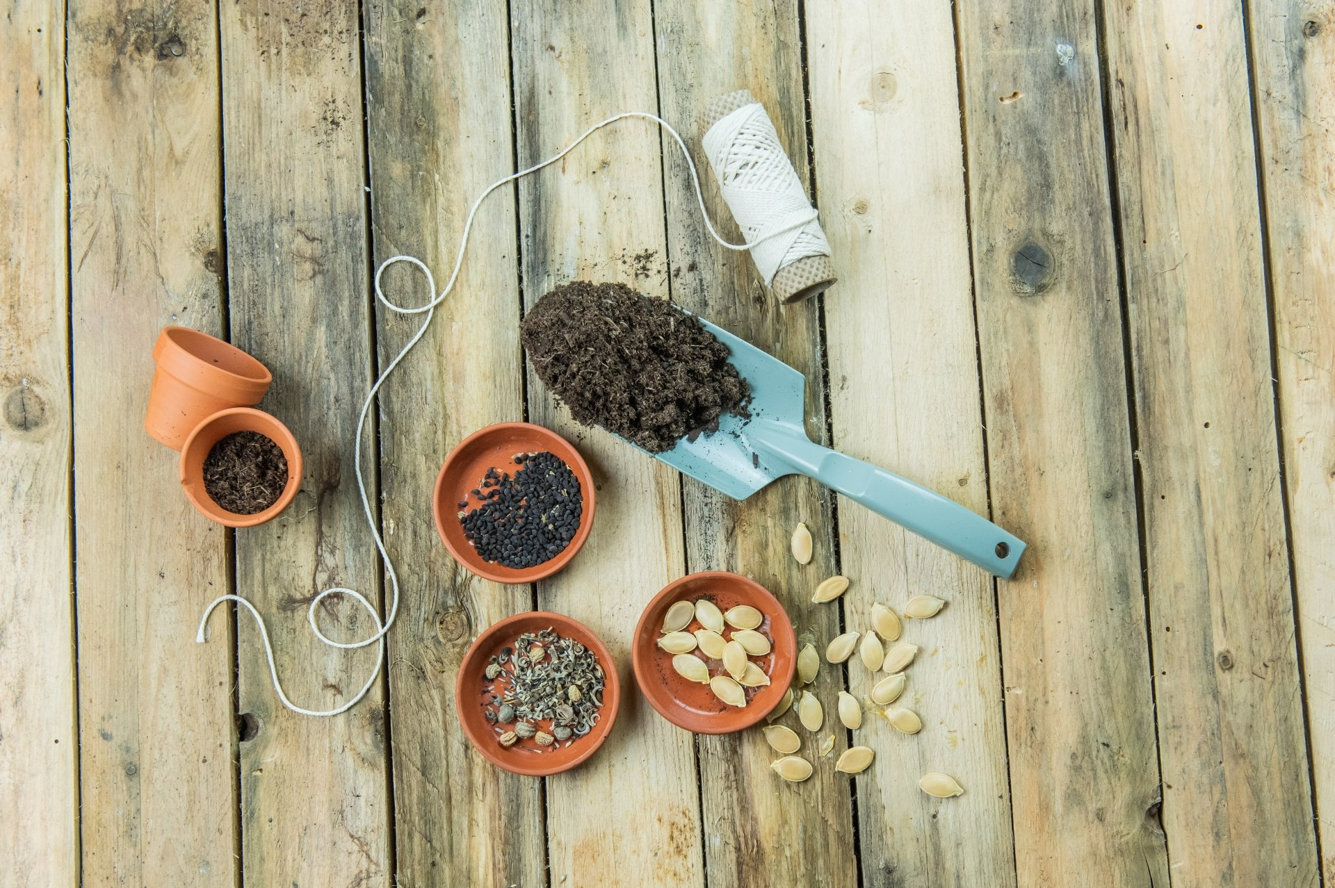 Outil de jardinage avec petits pots sur plancher