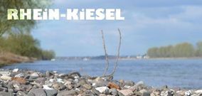 Rheinkiesel