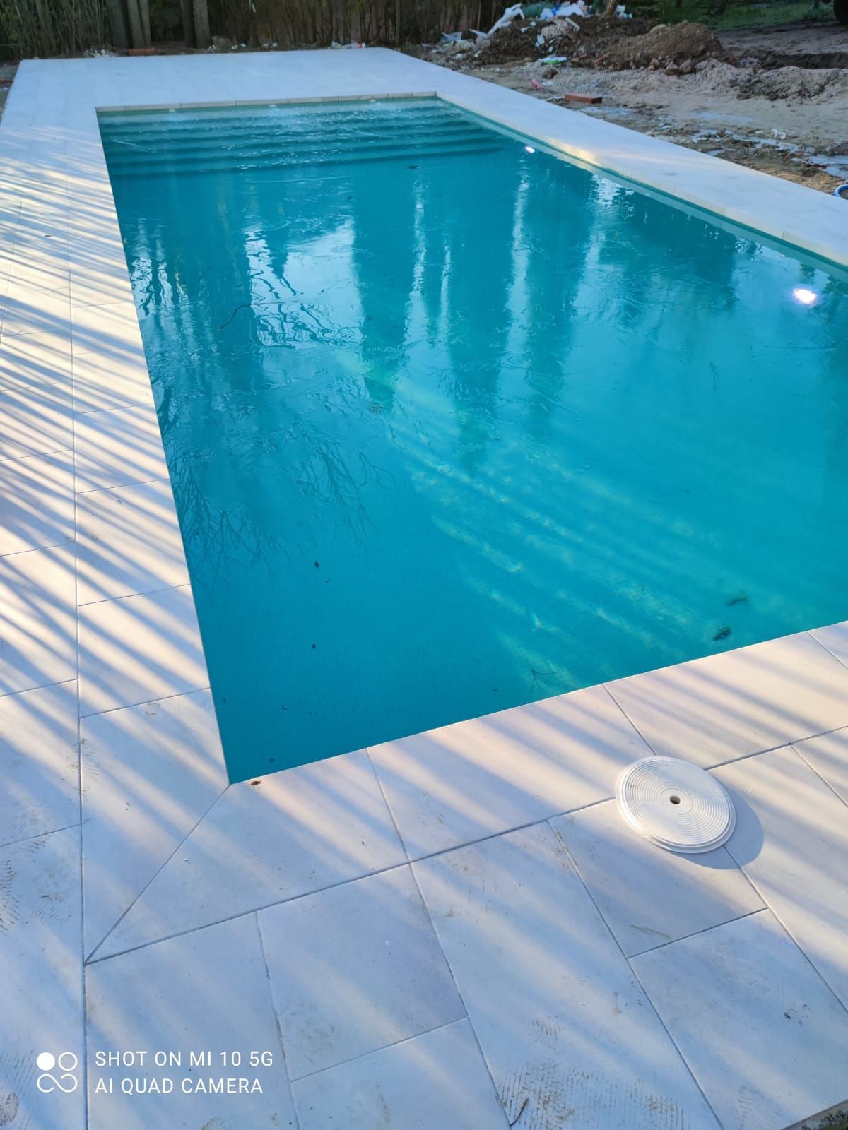 Una gran piscina con borde de azulejos blancos está rodeada de palmeras.