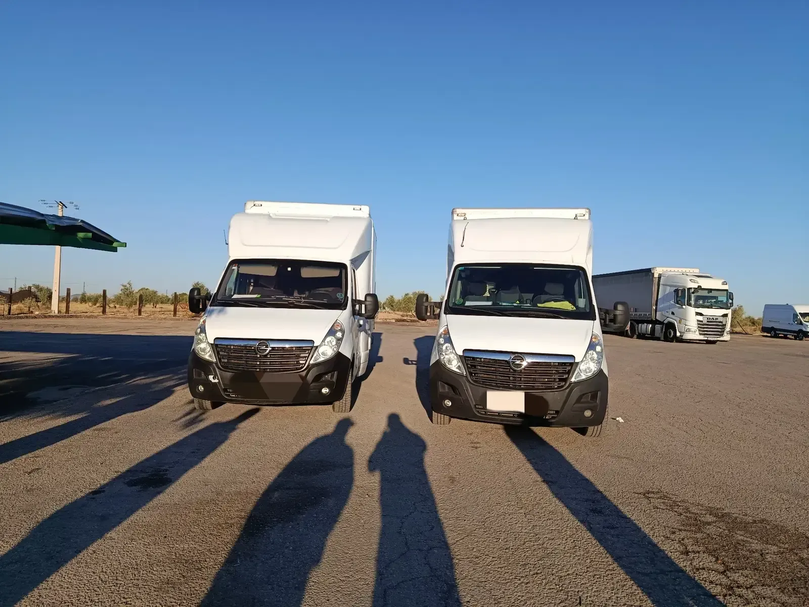 Gente chocando los cinco en una casa nueva, rodeada de cajas de mudanza cerca de una gran ventana.