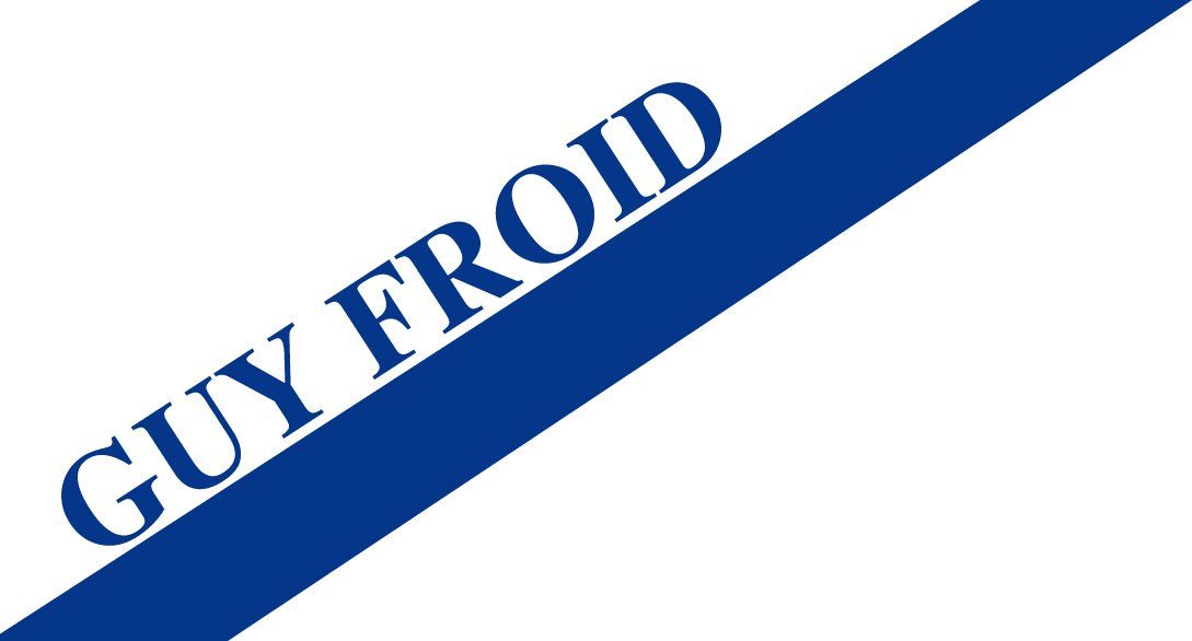 Logo Guy Froid